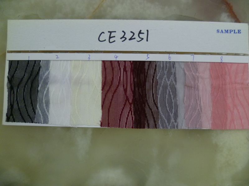CE3251
