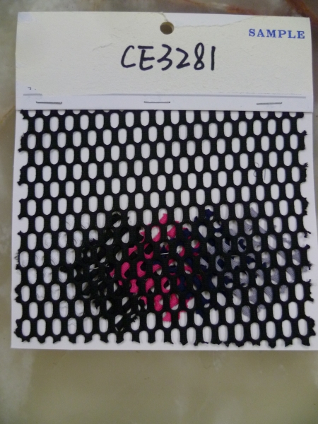 CE3281