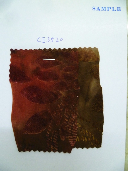 CE3520