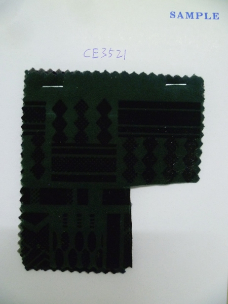 CE3521