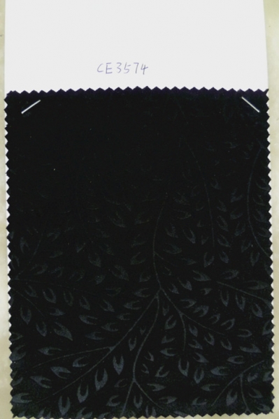 CE3574