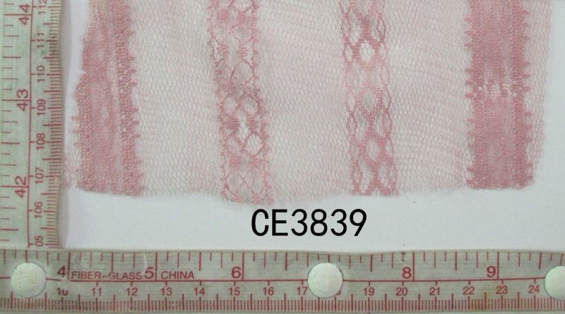 CE3839