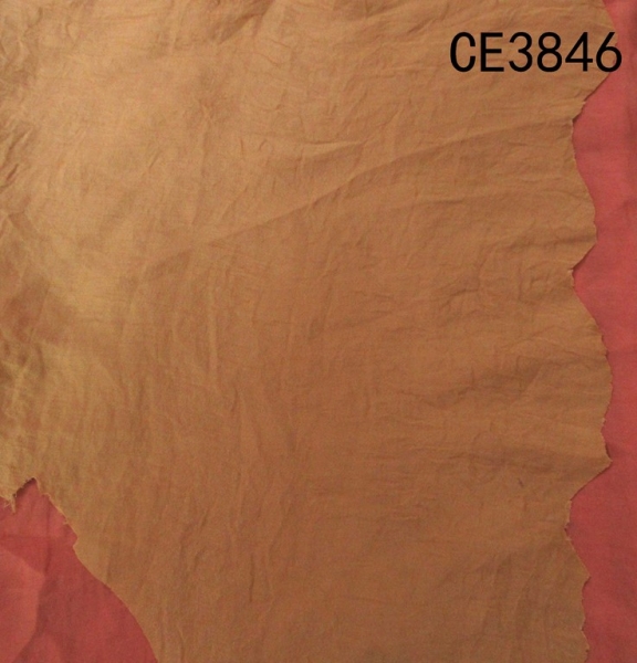 CE3846