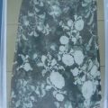 CE0272
