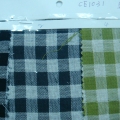 CE1031