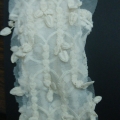 CE1126
