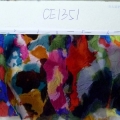 CE1351