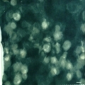 CE1504