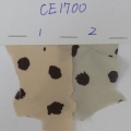CE1700