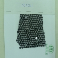 CE2051