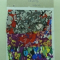 CE2096