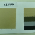 CE2104