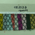 CE2123