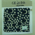 CE2134