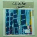 CE2160