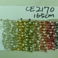 CE2170