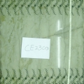 CE2300
