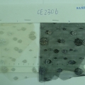 CE2306