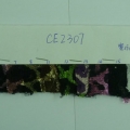 CE2307