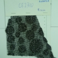 CE2310