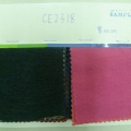 CE2318