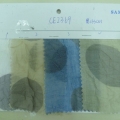 CE2369