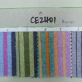 CE2401