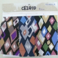 CE2410