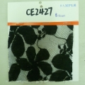 CE2427