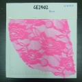 CE2502