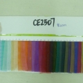 CE2507