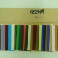 CE2509