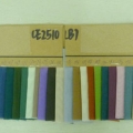 CE2510(B)
