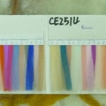 CE2514