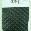 CE2519