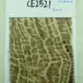 CE2521