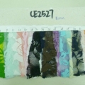 CE2527