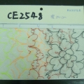 CE2548