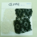 CE2551