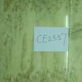 CE2557