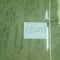 CE2558