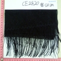 CE2820