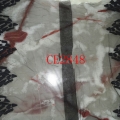 CE2848