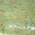 CE2853