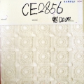 CE2856