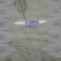 CE2900
