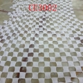 CE3002