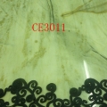 CE3011