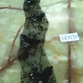 CE3170