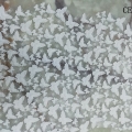 CE3203 COL.1
